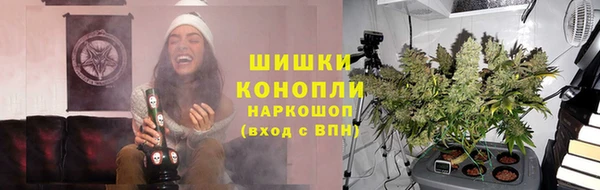 твердый Аркадак