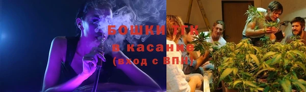 ПСИЛОЦИБИНОВЫЕ ГРИБЫ Армянск