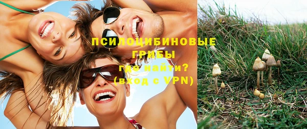 мет Арсеньев