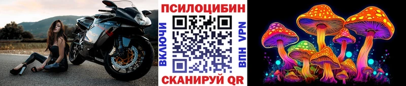 Галлюциногенные грибы Magic Shrooms  сайты даркнета какой сайт  Кольчугино 
