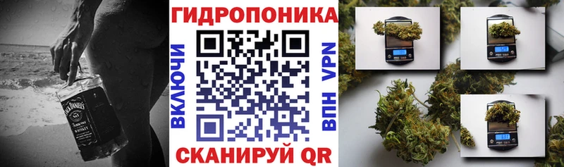 shop Telegram Кольчугино Канабис гибрид